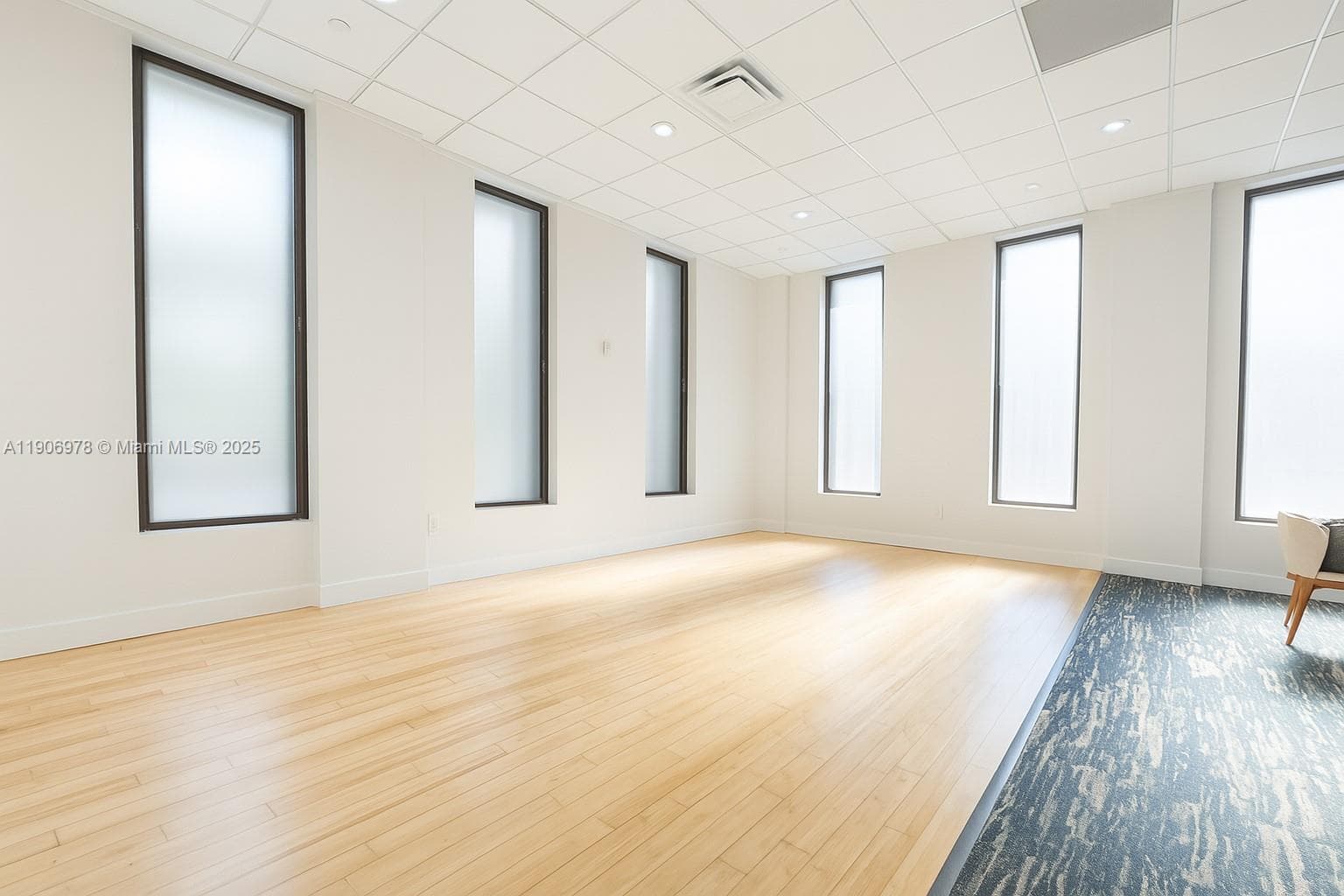 Party Room Dance Floor