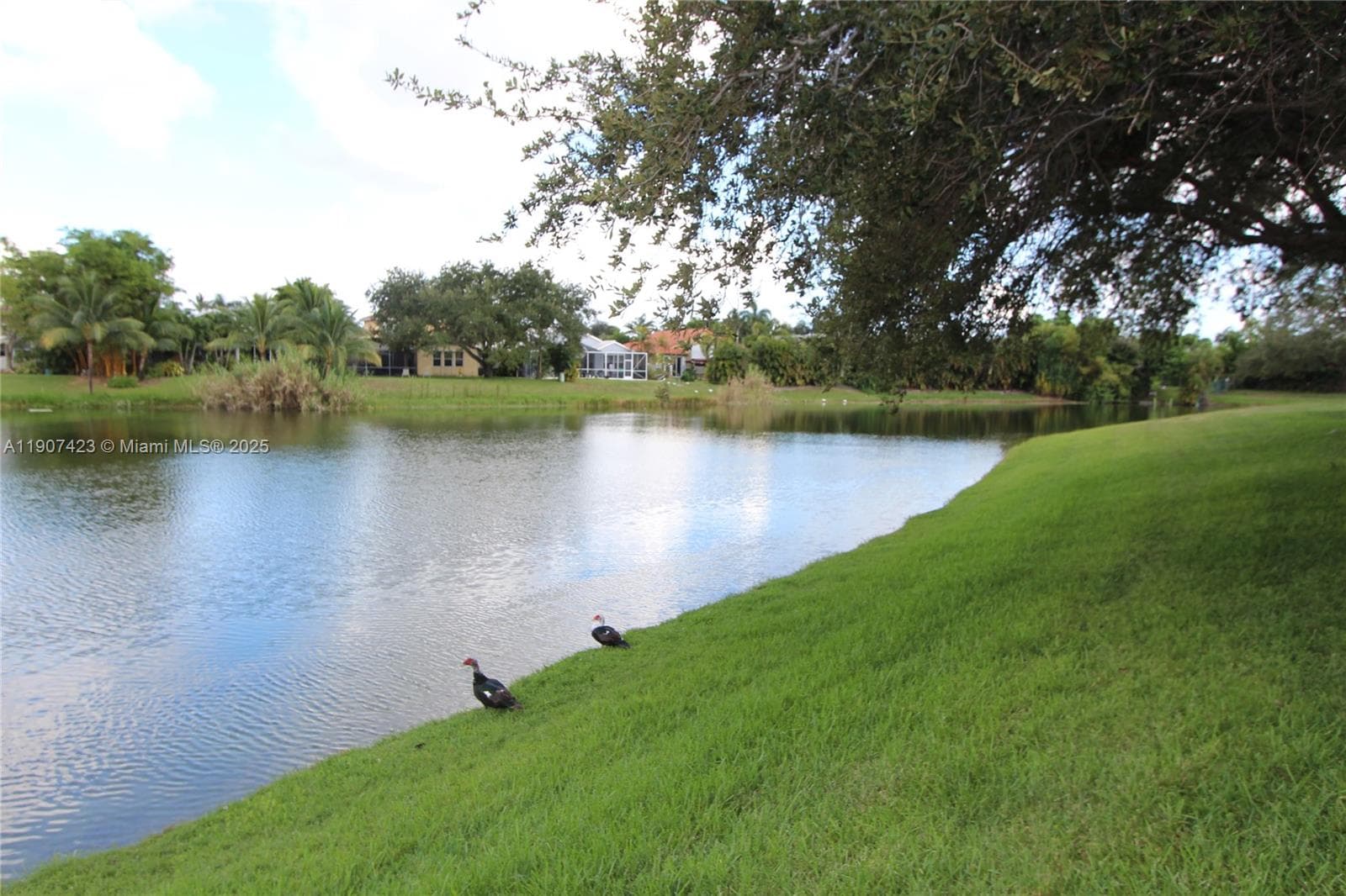 SAILBOAT POINTE CONDO · #213 in Oakland Park - Photo 10