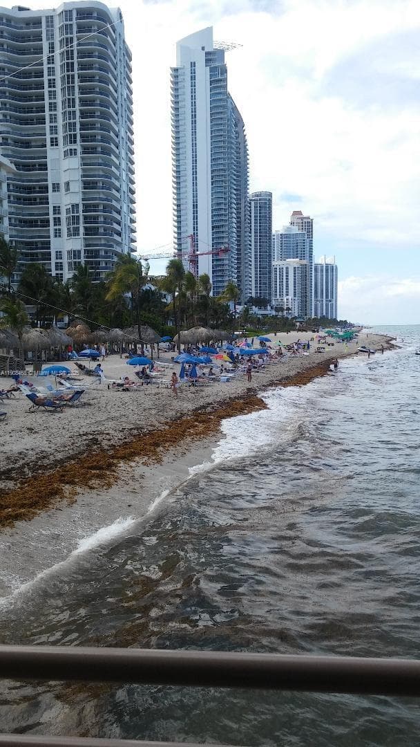 PLAZA OF AMERICAS CONDO P · #803 in Sunny Isles Beach - Photo 24