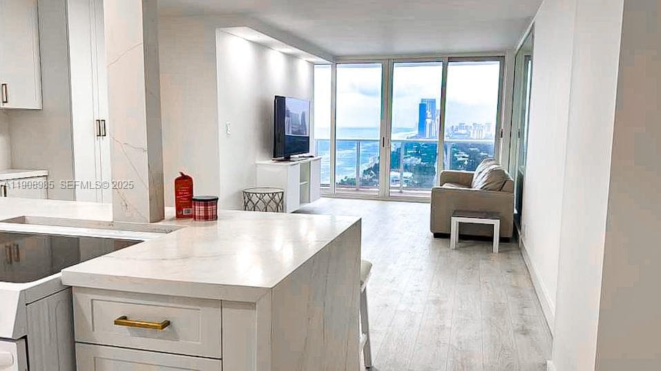 PARKER TOWER CONDO · #2403 in Hallandale Beach - Photo 17