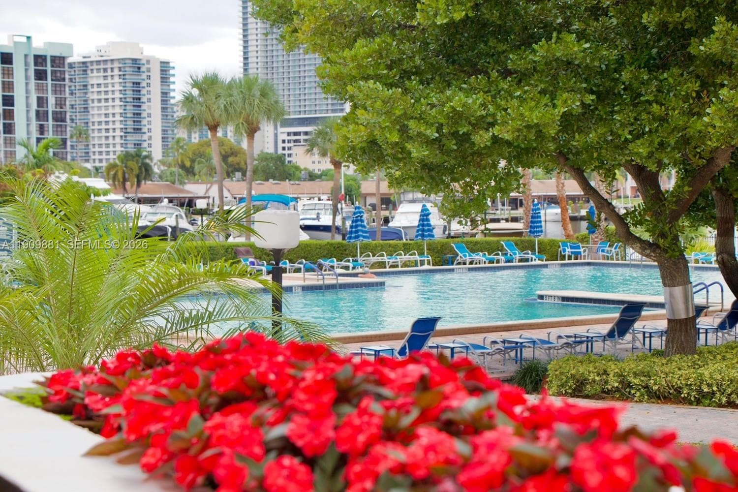 THE OLYMPUS CONDO · #920 in Hallandale Beach - Photo 2