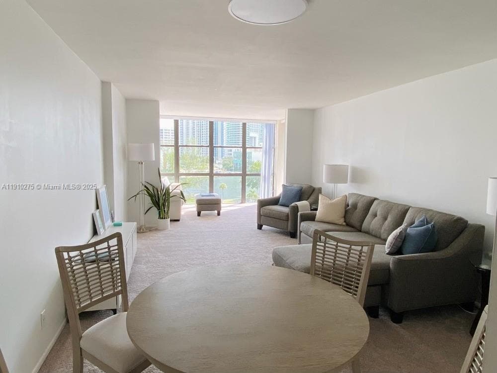 Large Living/Dining Area