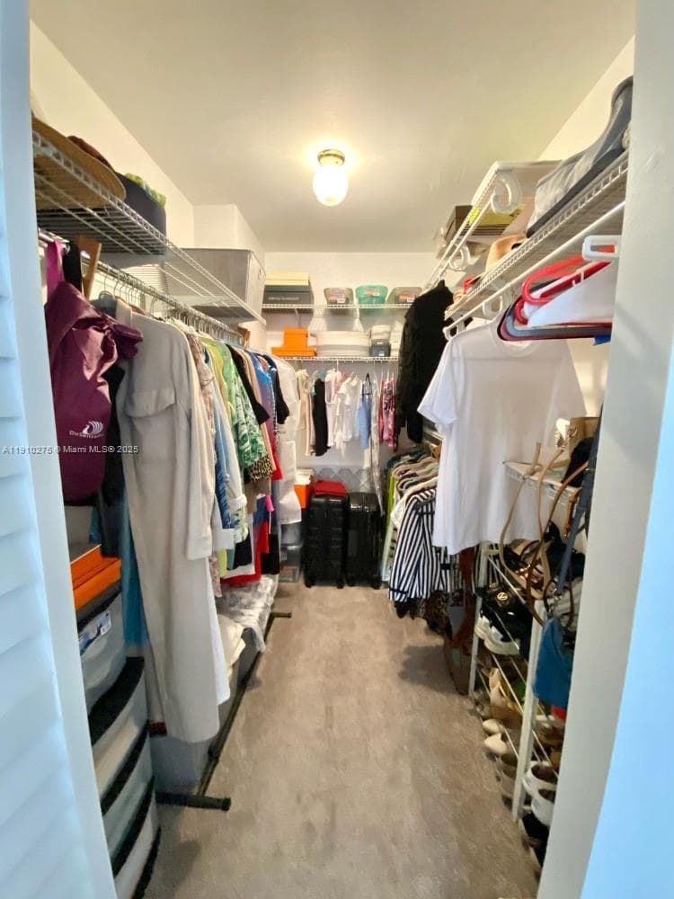 Large Walking Closet