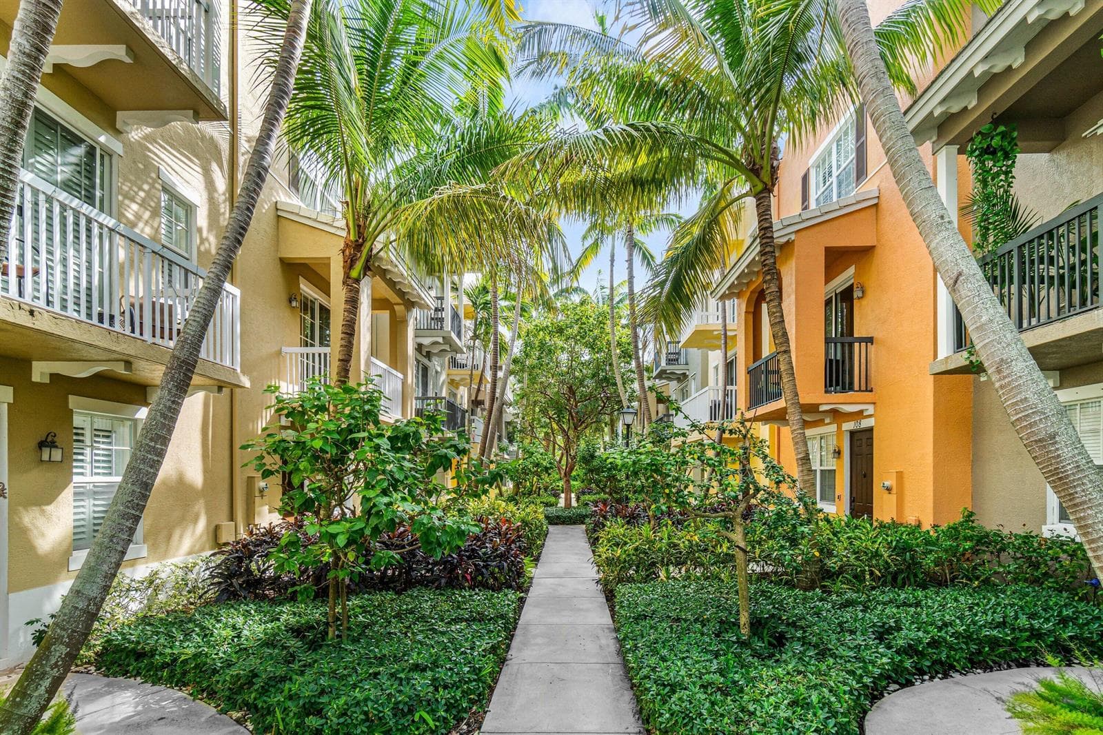 tropical neighborhood