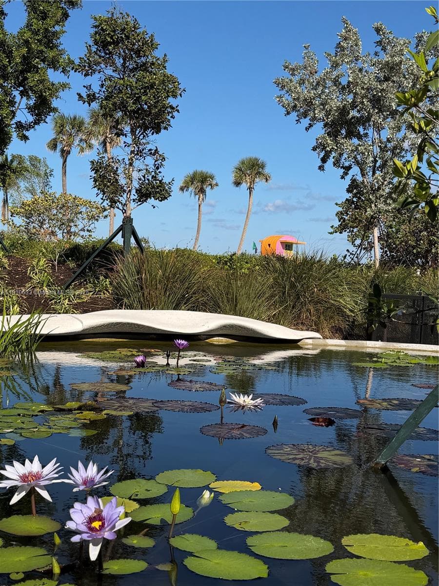Newly completed park and boardwalk, just beautiful.