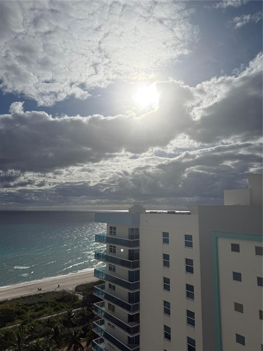 View from the balcony November 2025