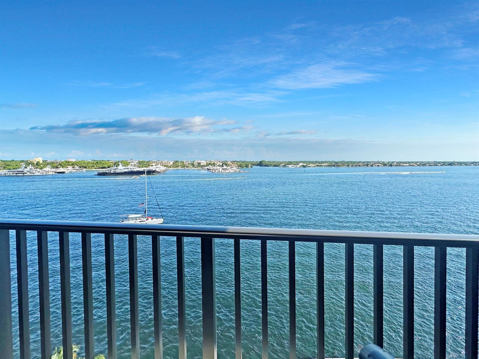 Palm Beach Views