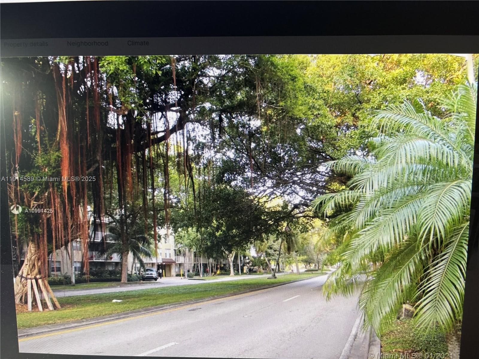 BAYVIEW PALM · #320 in North Miami - Photo 3