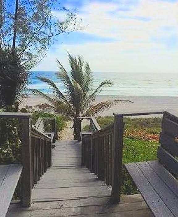 AMAZING OCEAN AREA