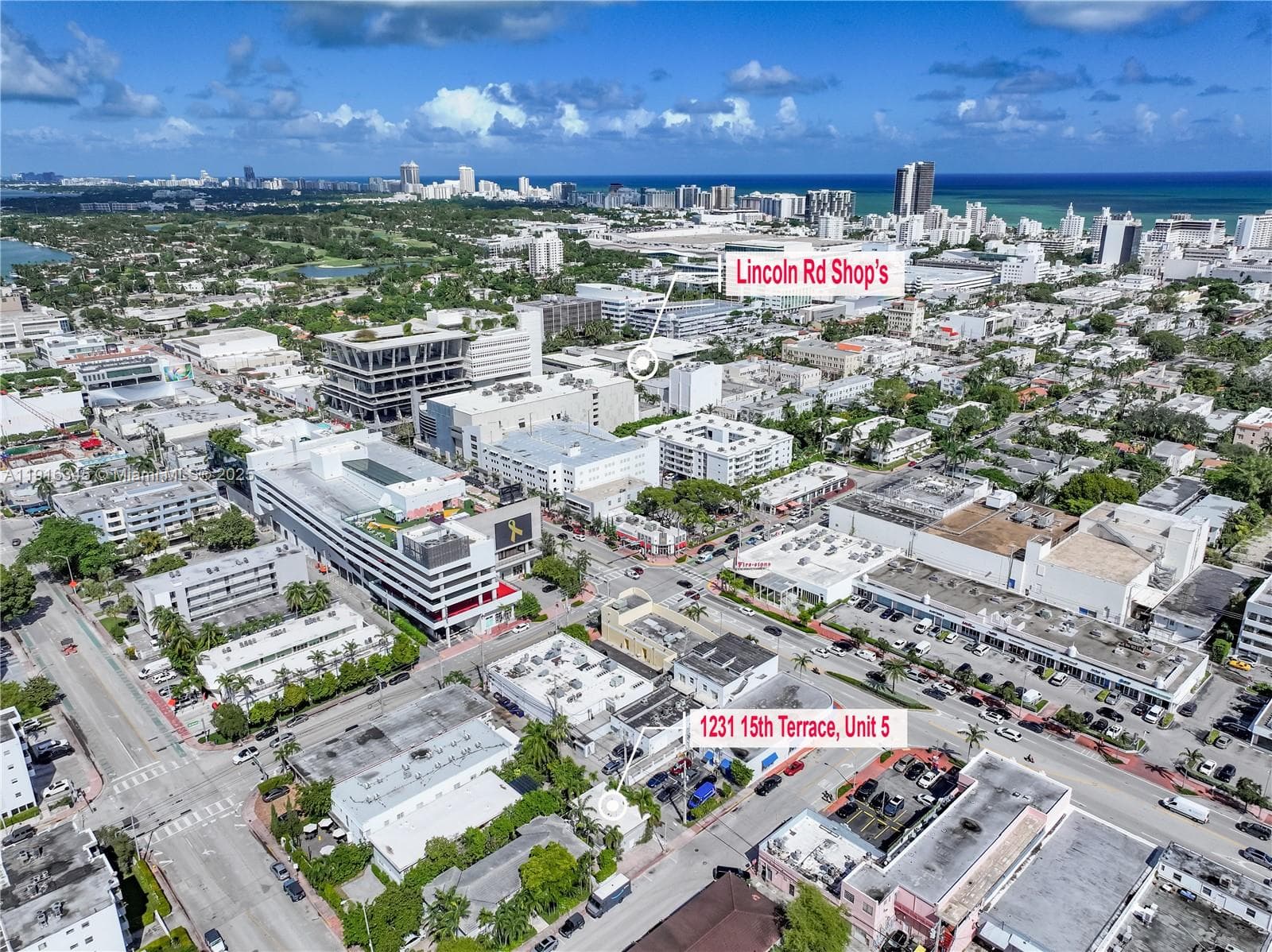 THE DARIA CONDO · #5 in Miami Beach - Photo 29