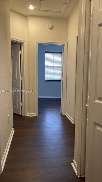 PROMENADE SHORES AT DORAL · #205 in Doral - Photo 12