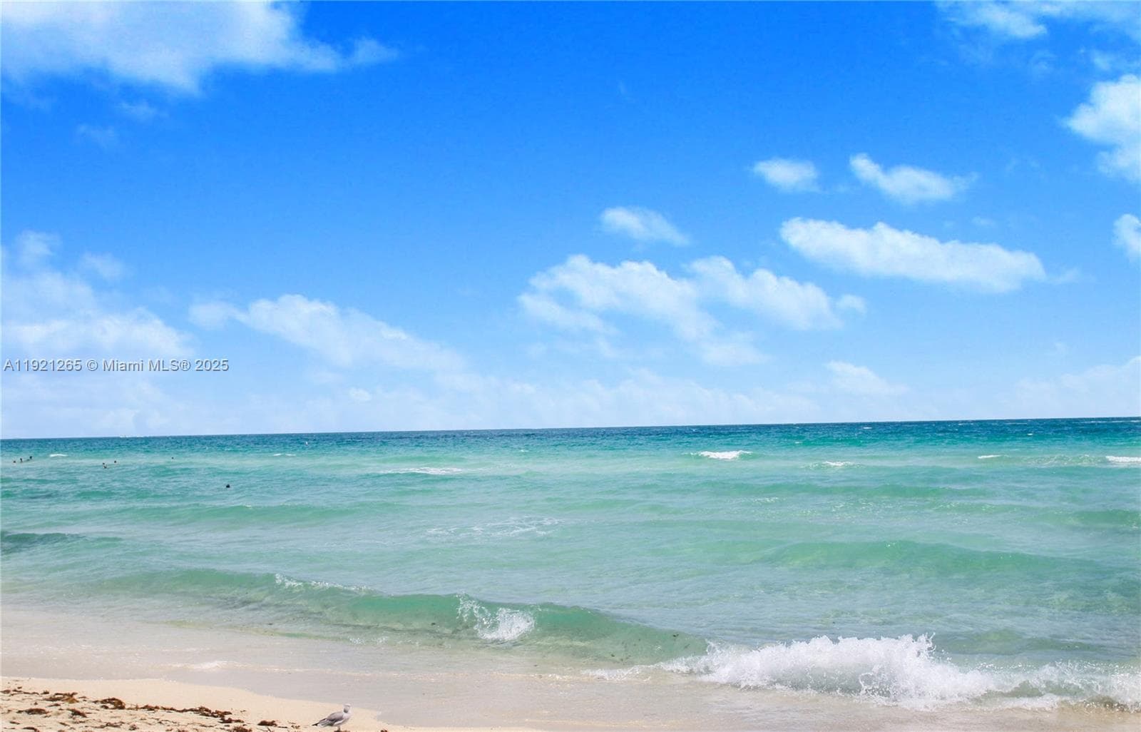 Beautiful beaches of South Beach!