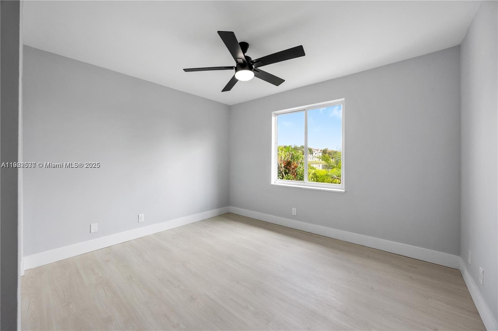 3835 Lombardy St photo 19