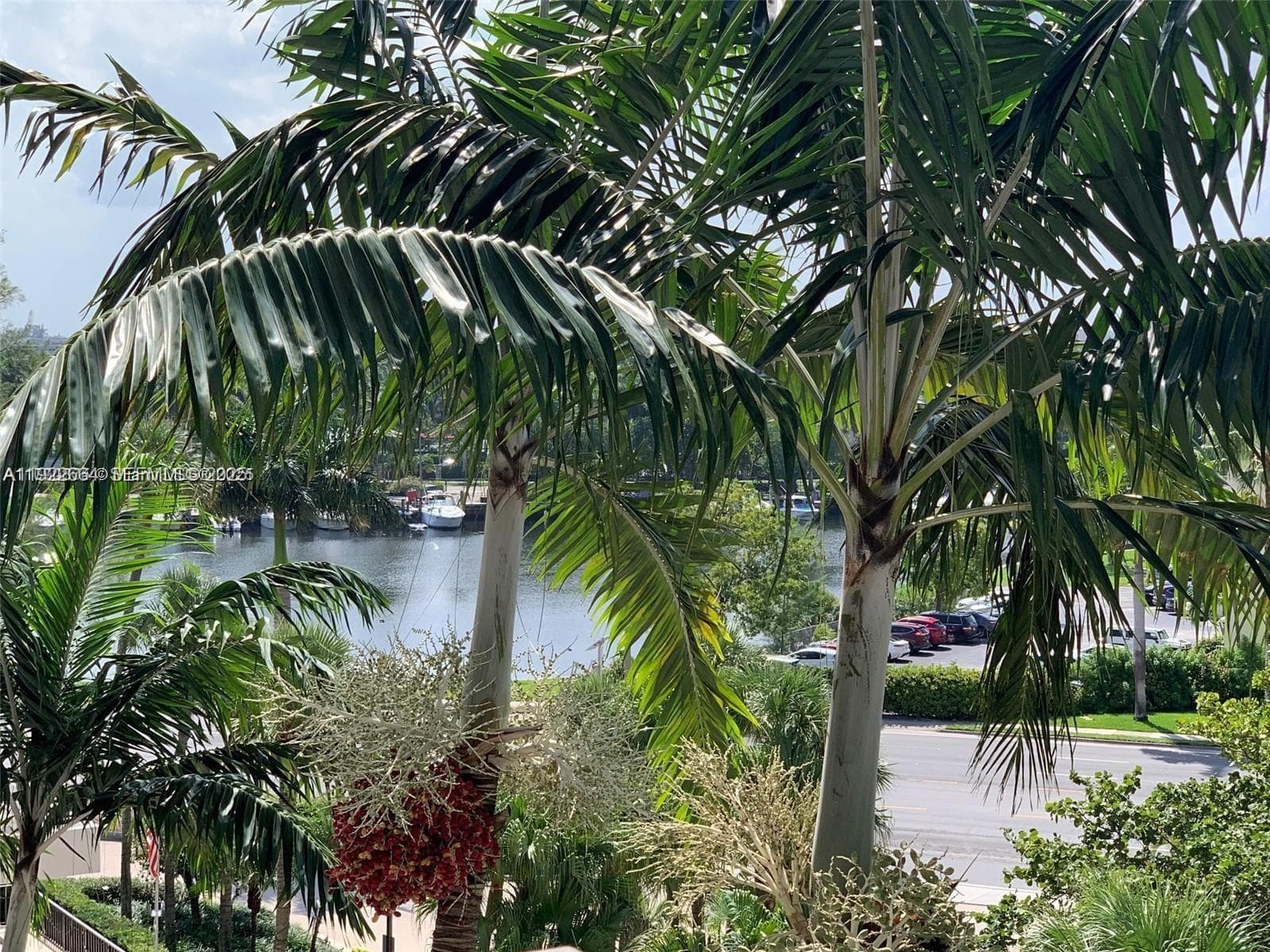 OLYMPUS · #307 in Hallandale Beach - Photo 11
