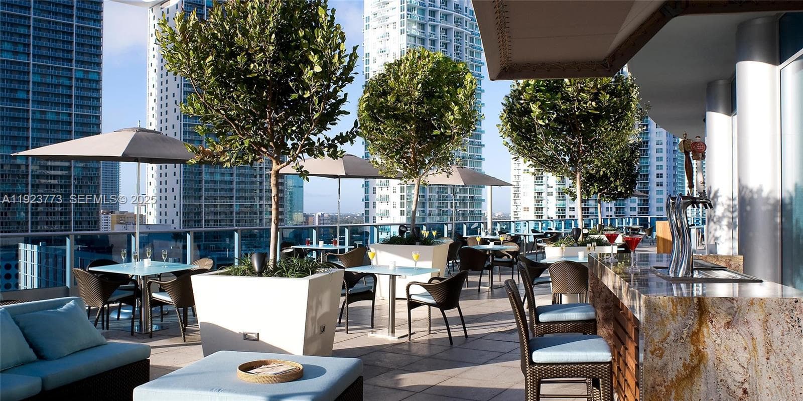 Area 31 Restaurant