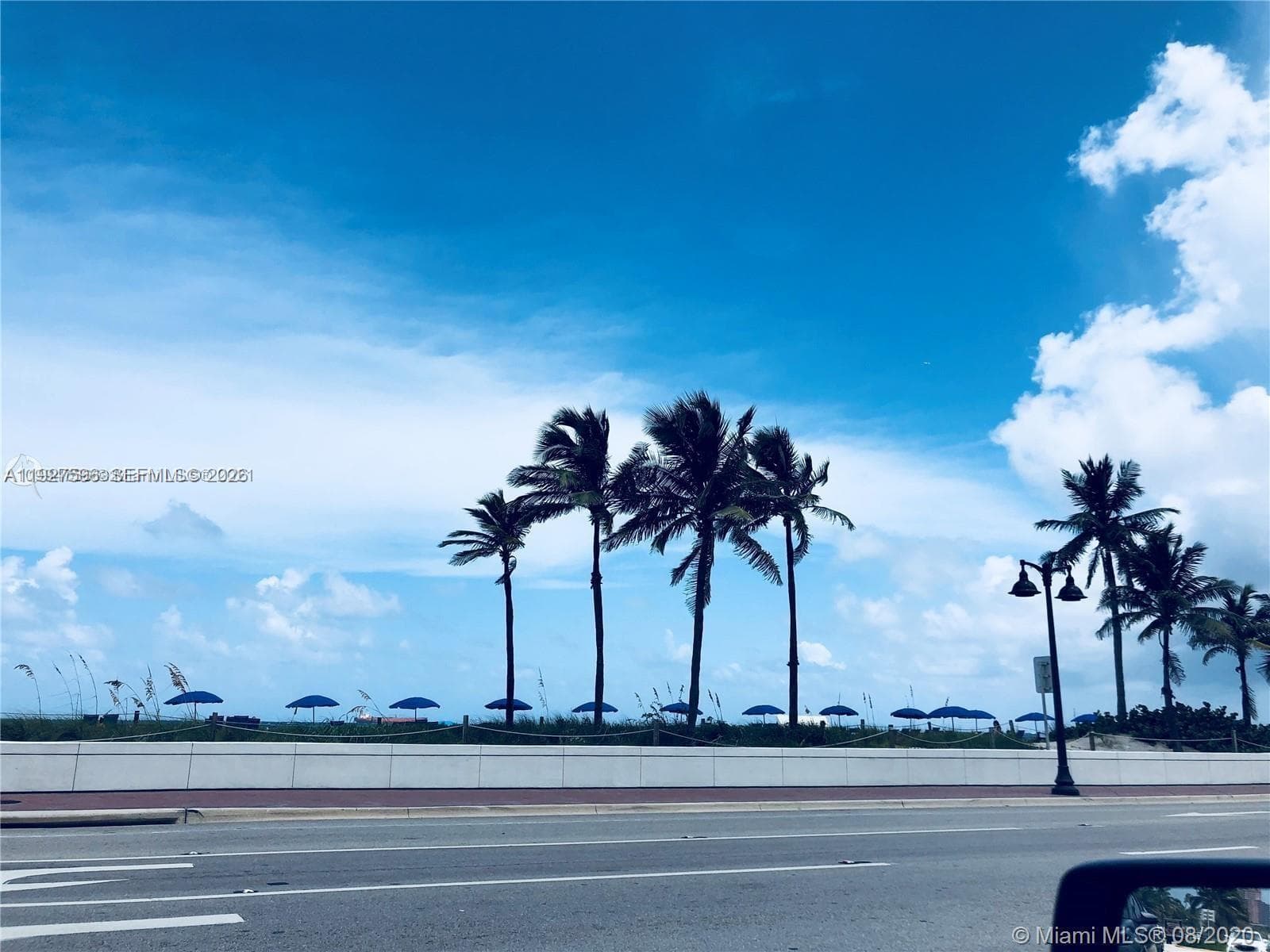 Gallery · #311 in Fort Lauderdale - Photo 17