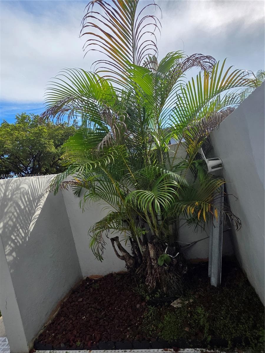 front yard