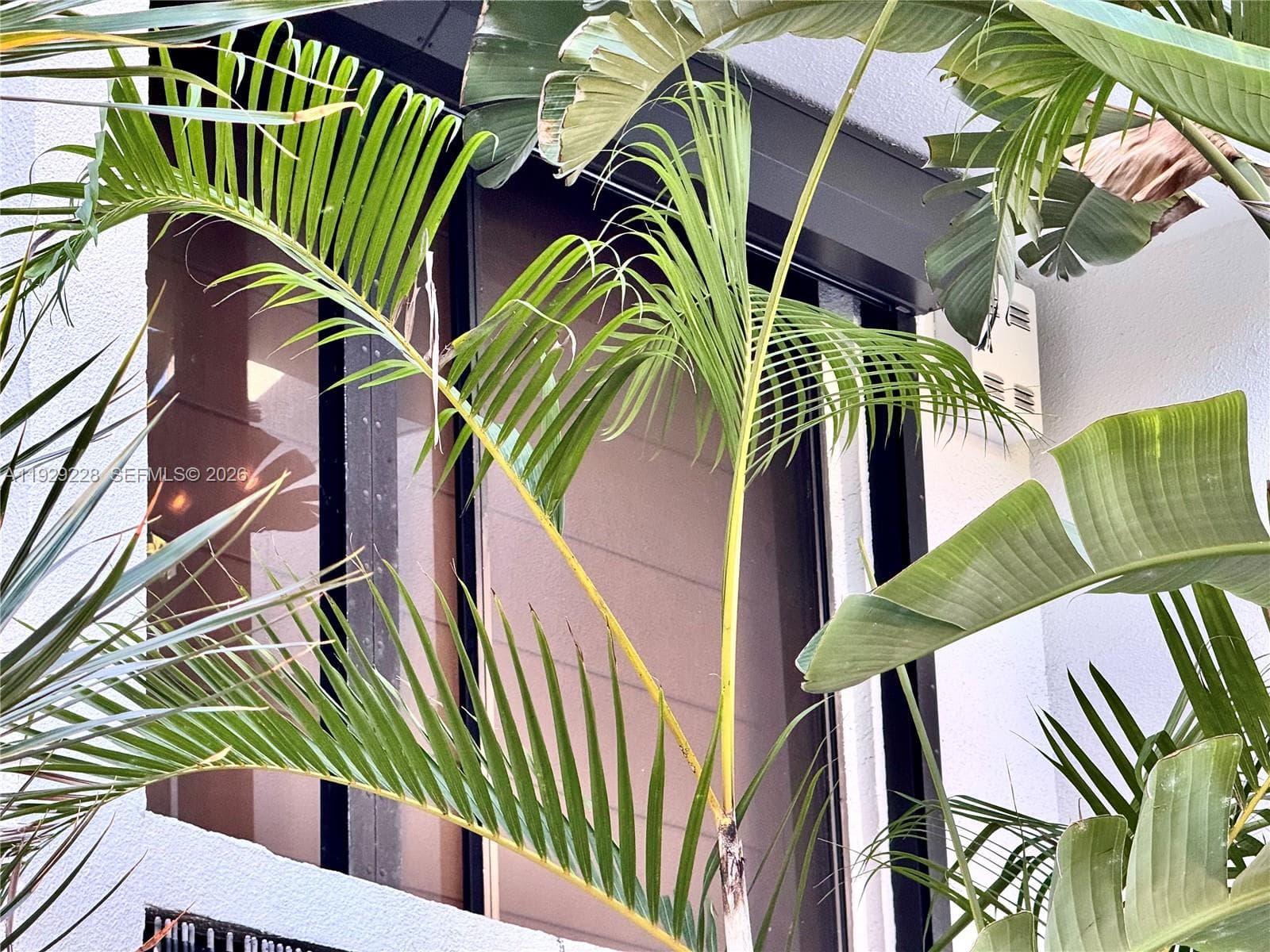 Courtyards of Aventura in Aventura - Photo 46
