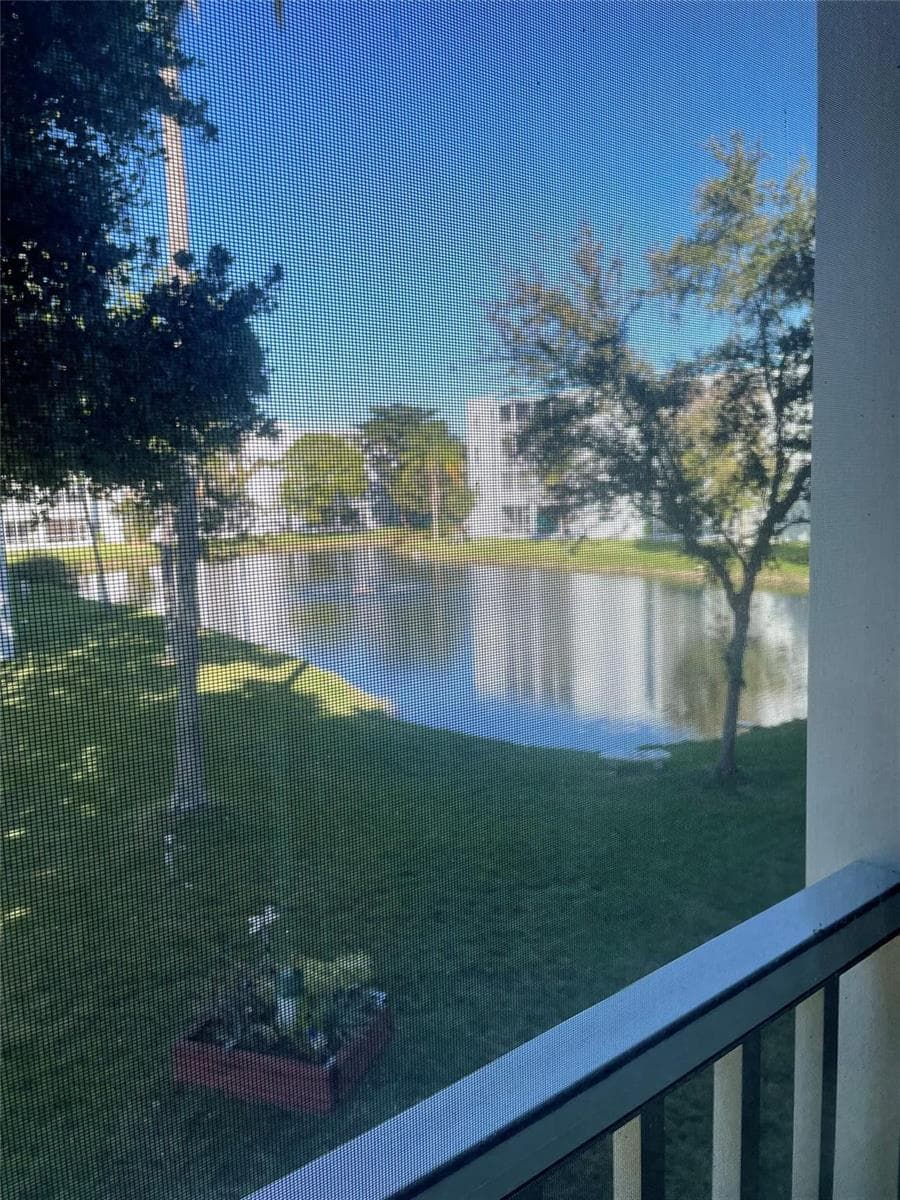 Looking through the screens on the patio