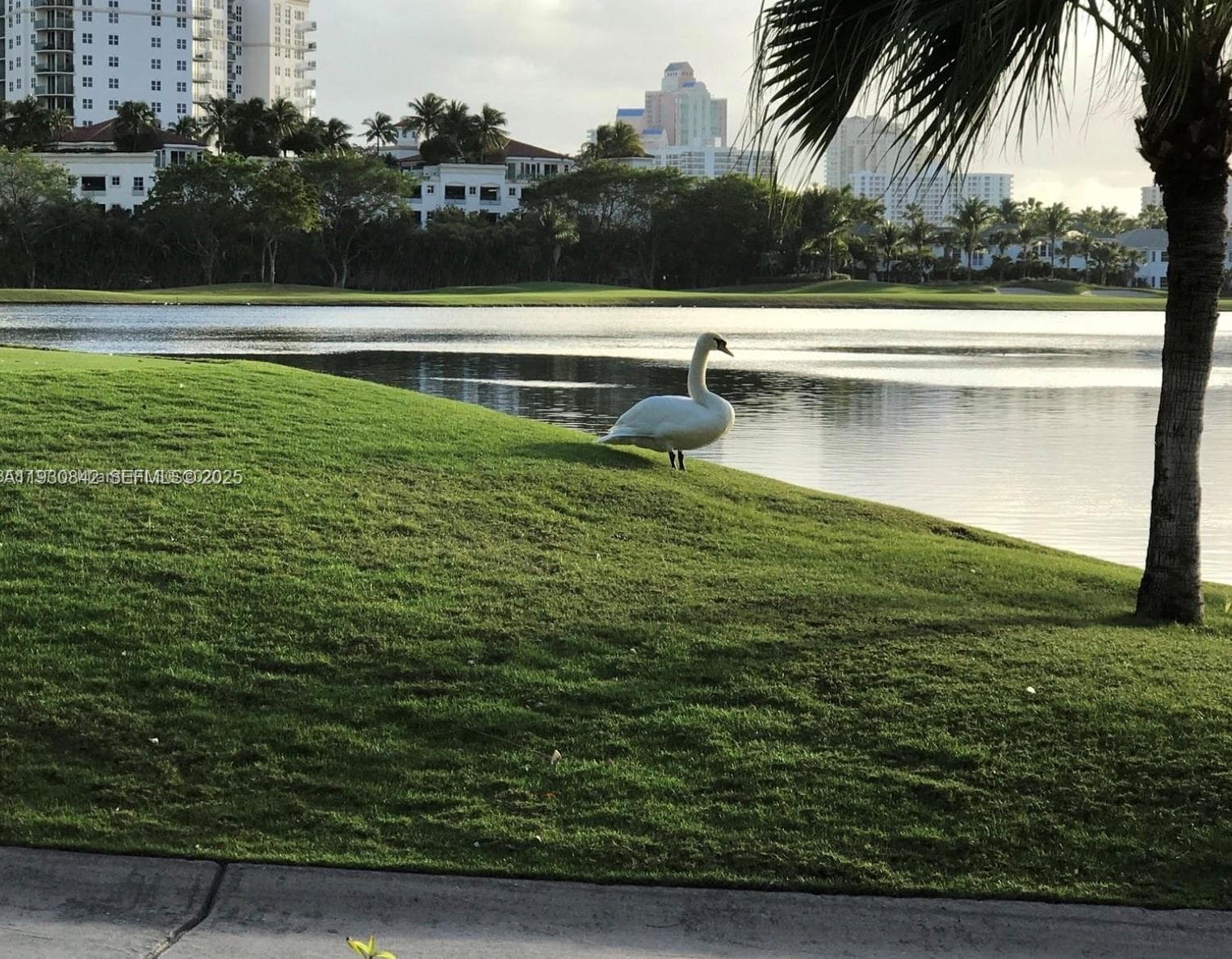 TURNBERRY VLG NO TOWER CO · #114 in Aventura - Photo 41