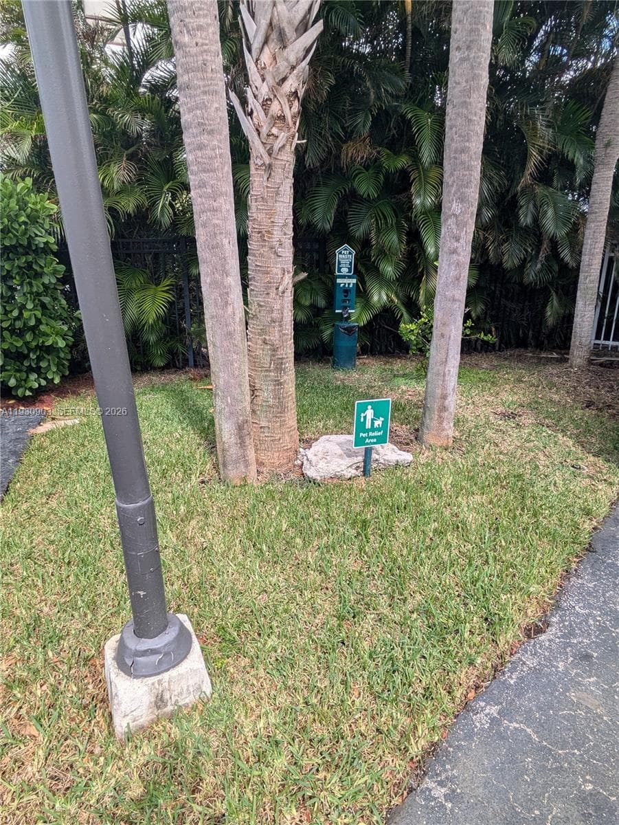 Dog Park