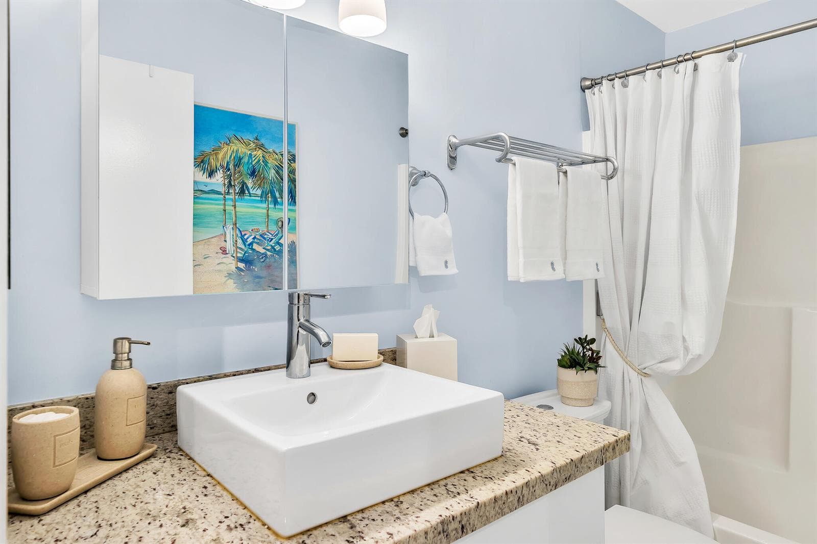 7 Guest Bathroom (1)