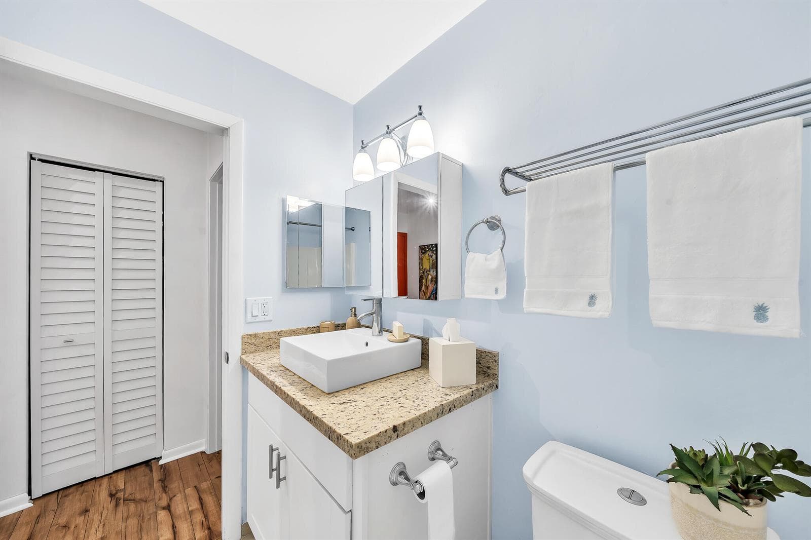 7 Guest Bathroom (3)