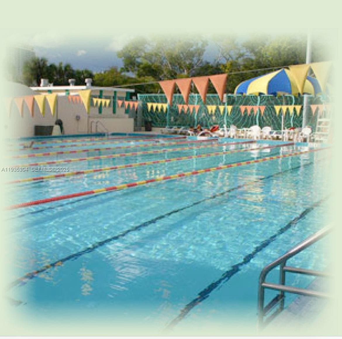 BEAUTIFUL POOL AT FLAMINGO PARK