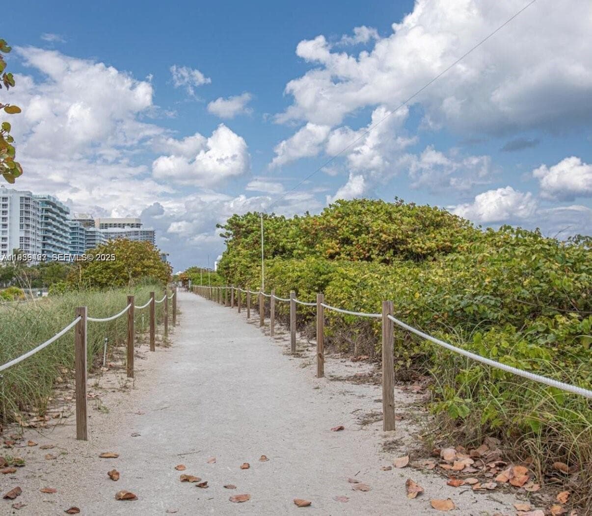 THE WAVERLY AT SURFSIDE B · #212 in Surfside - Photo 35