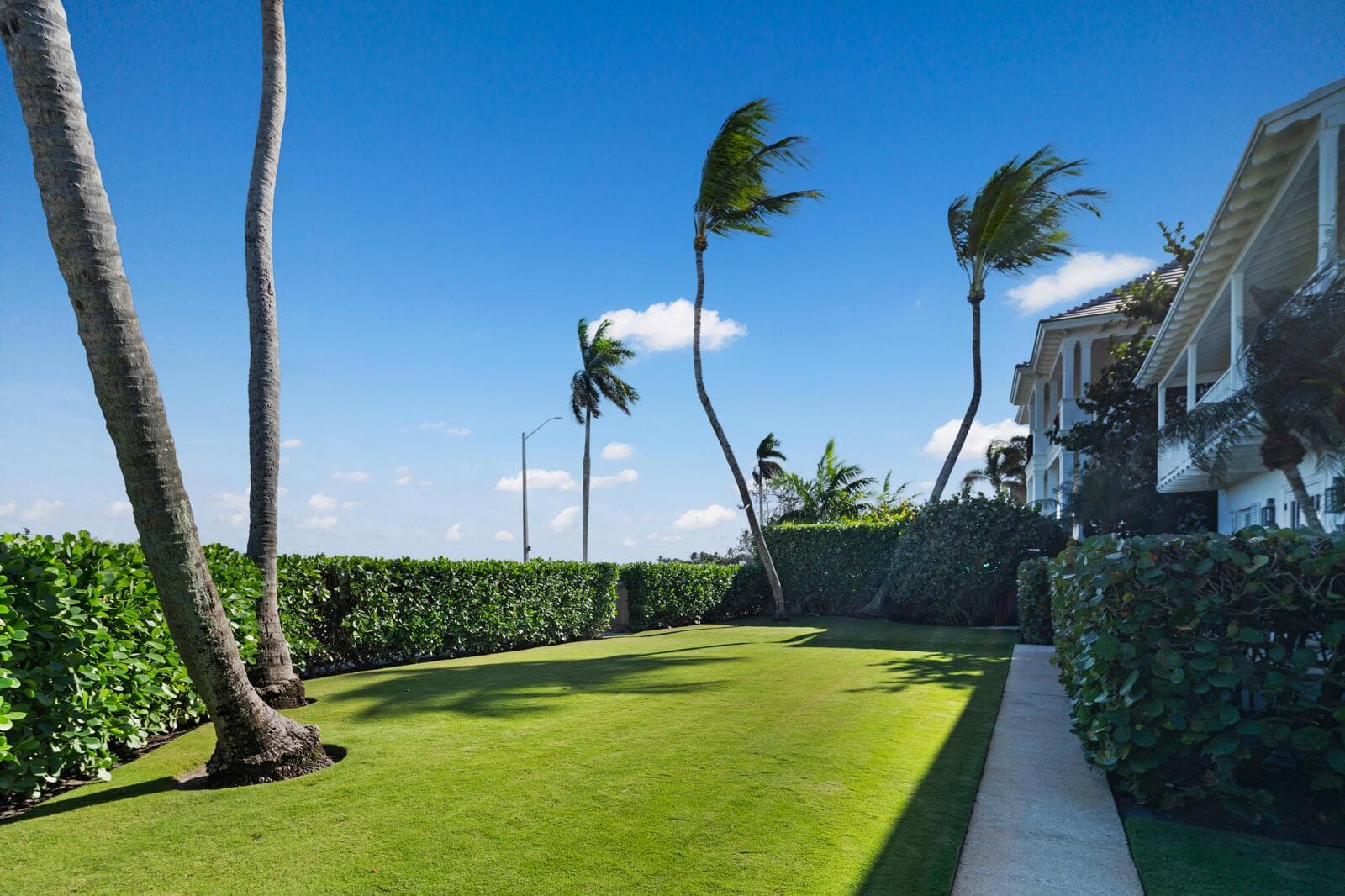 Front Yard