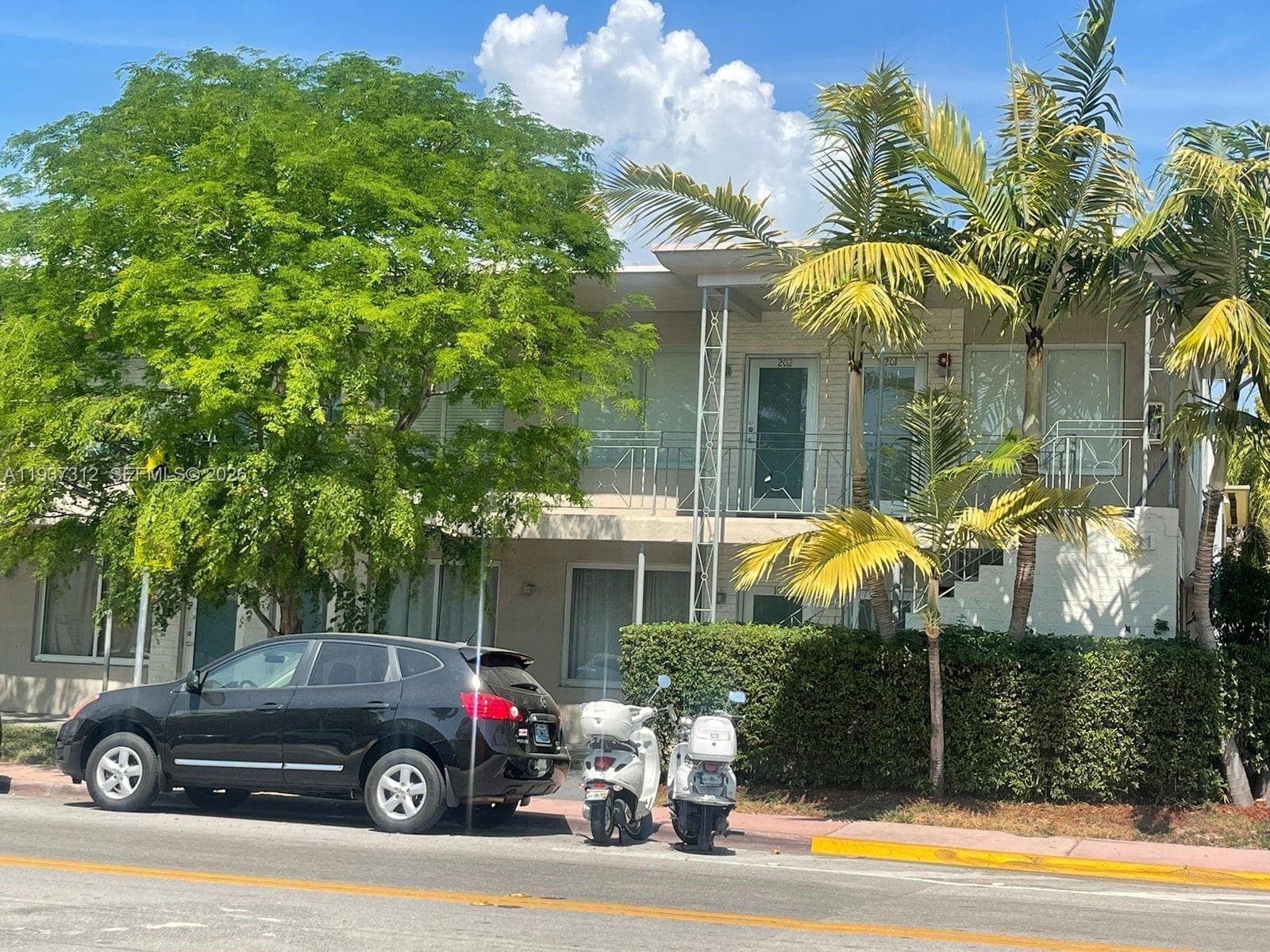 ELISA CONDO · #101 in Miami Beach - Photo 20