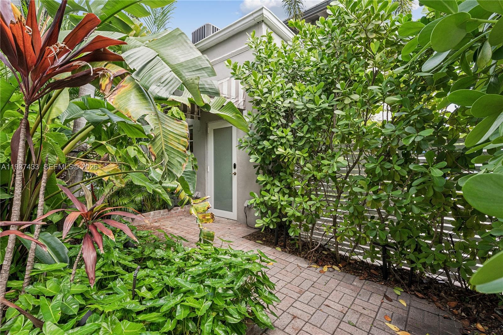 THE DARIA CONDO · #5 in Miami Beach - Photo 5