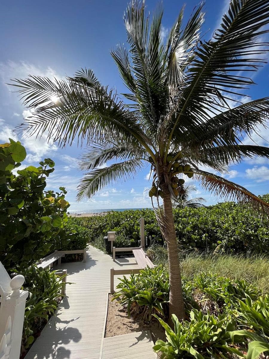 PATH TO OCEAN