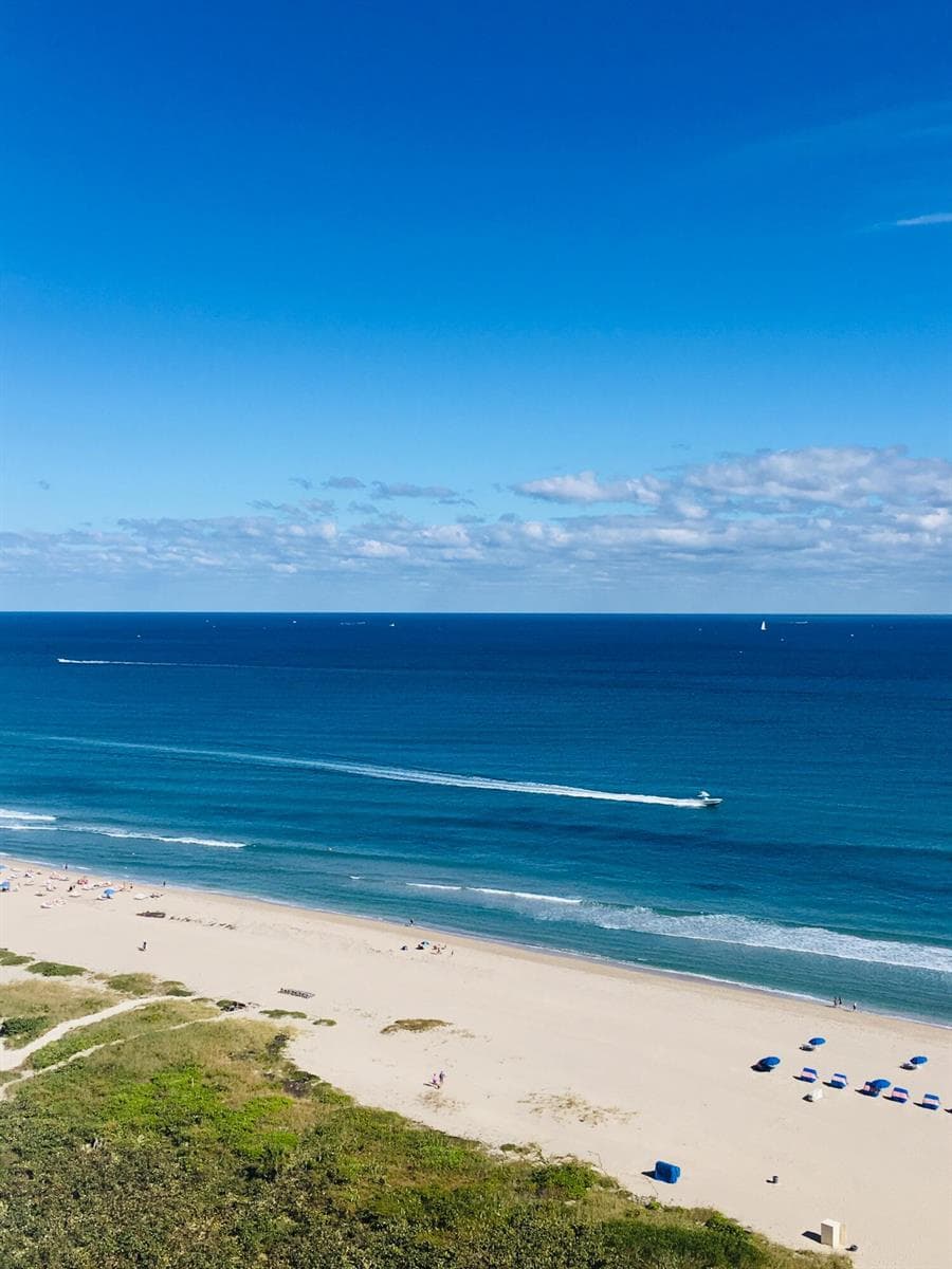 BEACH VIEW