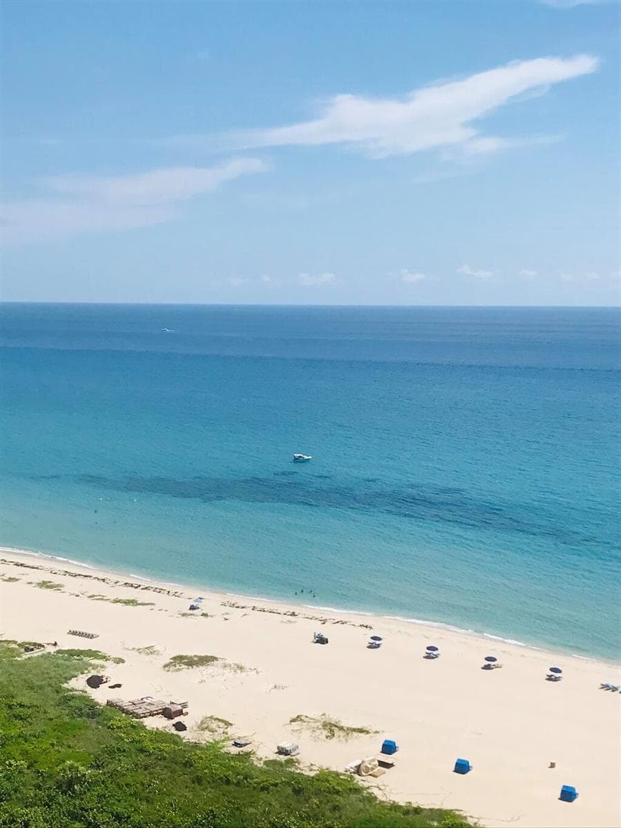 OCEAN
