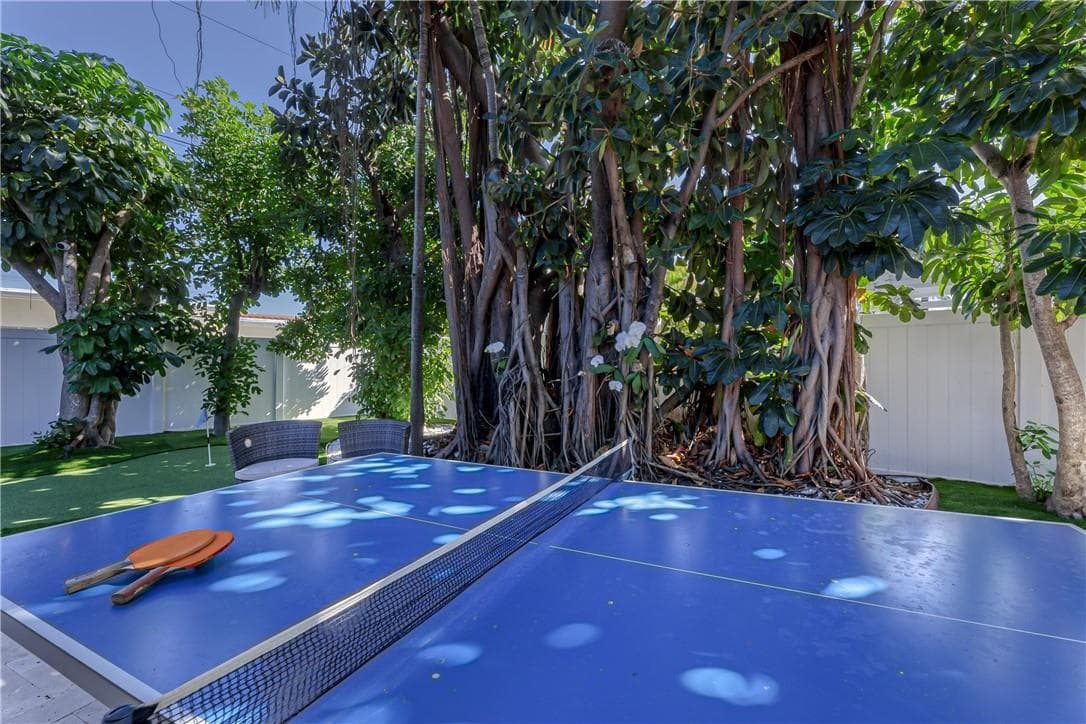 Ping Pong Anyone??