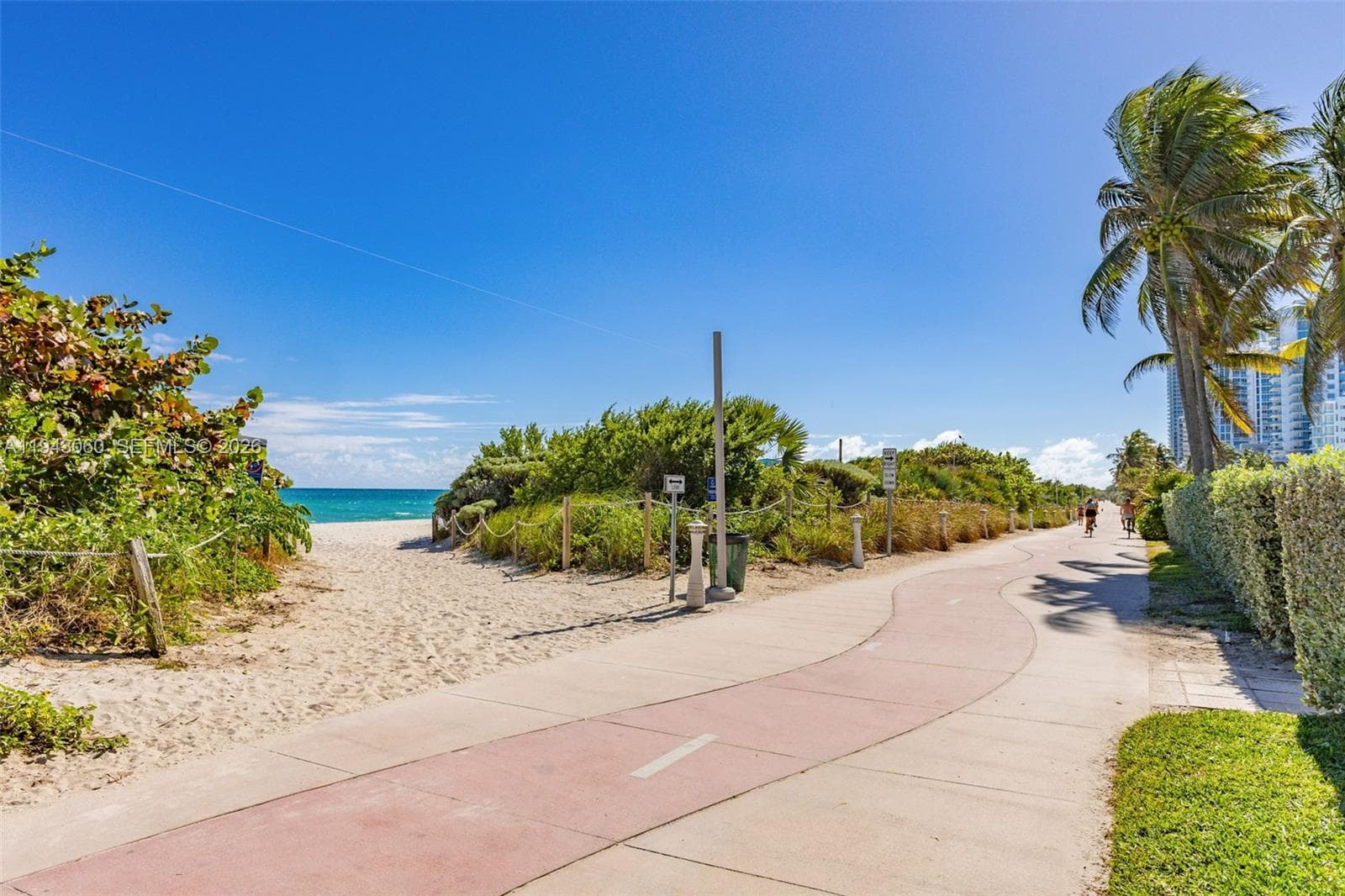 Backyard Boardwalk