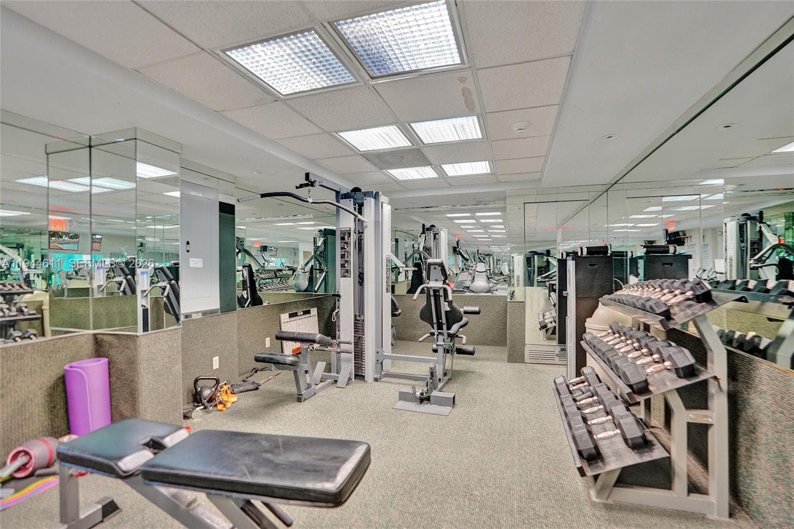 Weights and strength equipment.