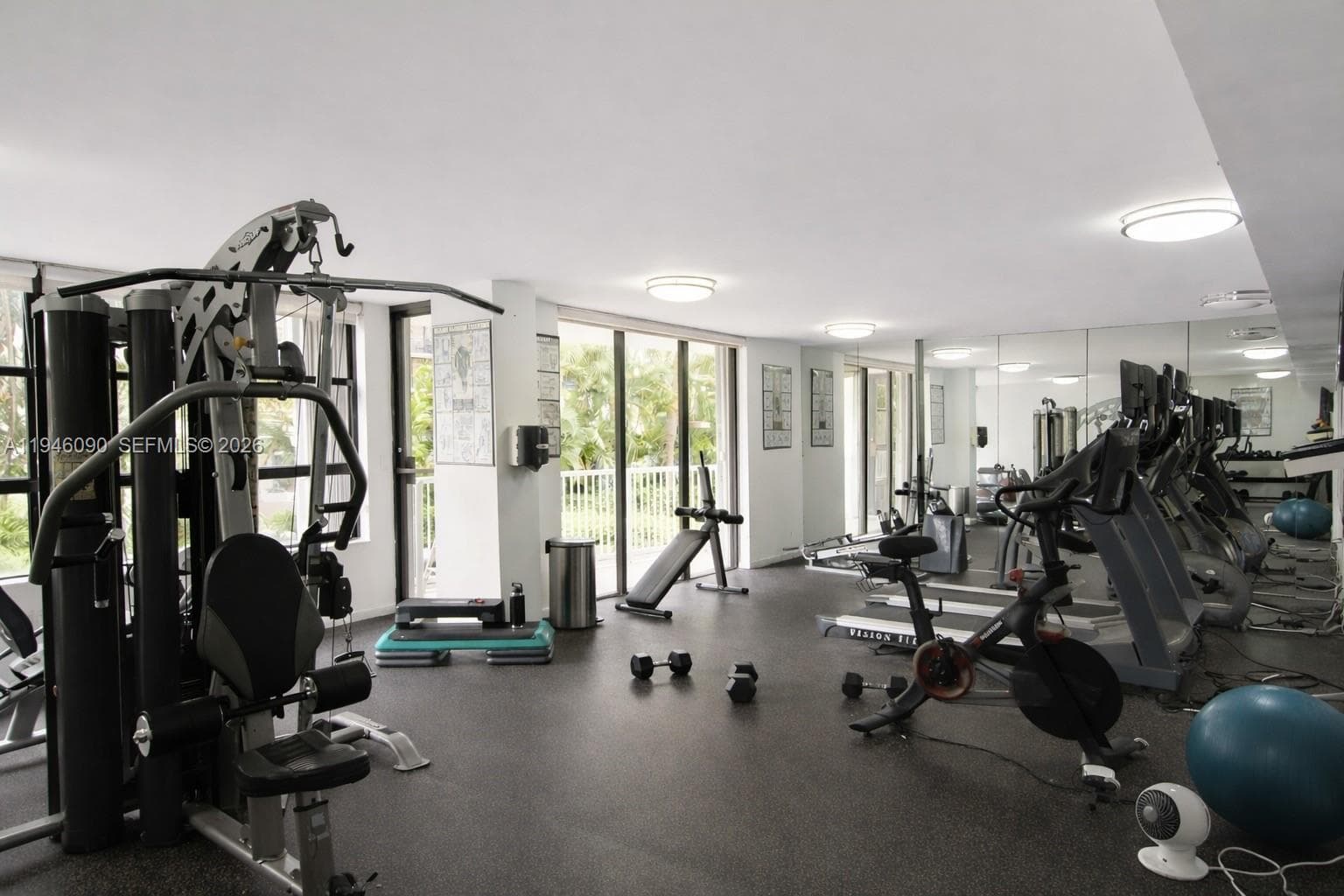 Bright gym filled with natural light, featuring a wide variety of machines and free weights for a complete workout experience