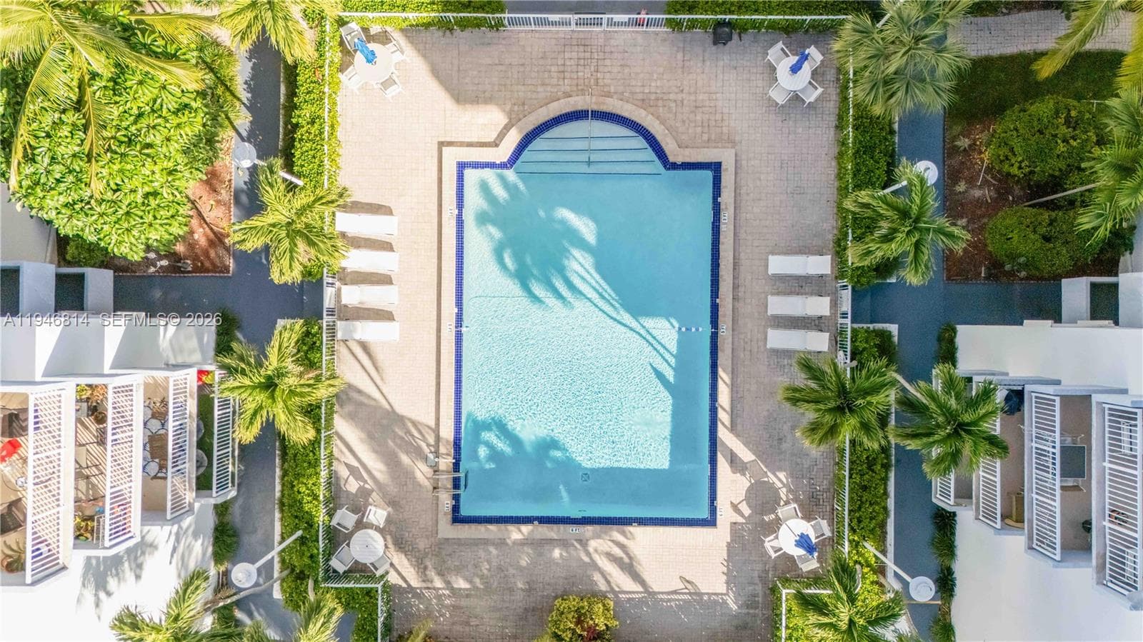 Pool- Top-Down View