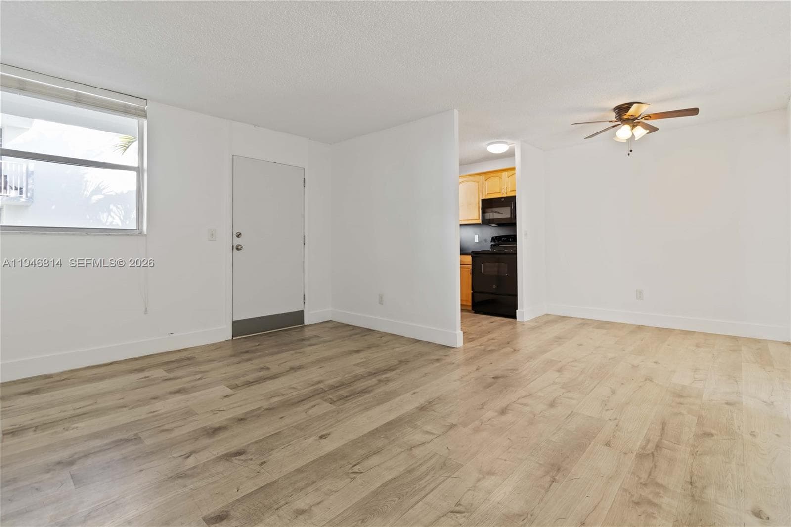 Living Room Entry