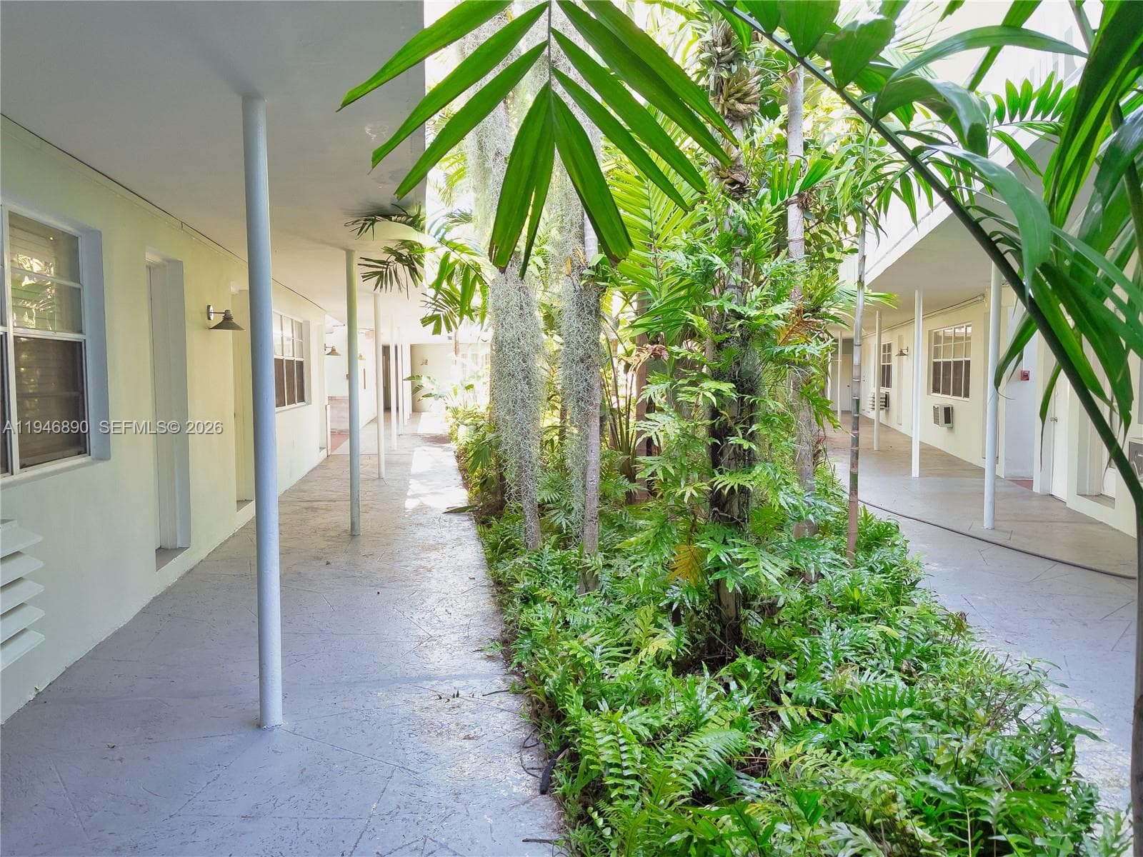 Peaceful interior garden