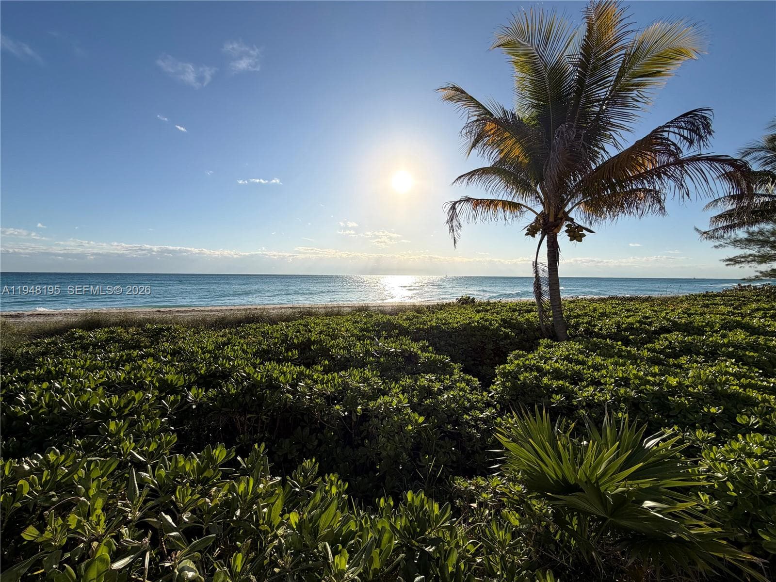 MALAGA TOWERS CONDO · #5A in Hallandale Beach - Photo 30
