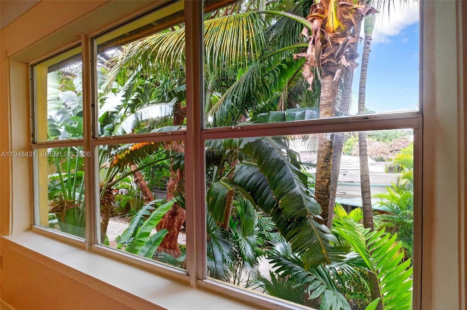 View from living room