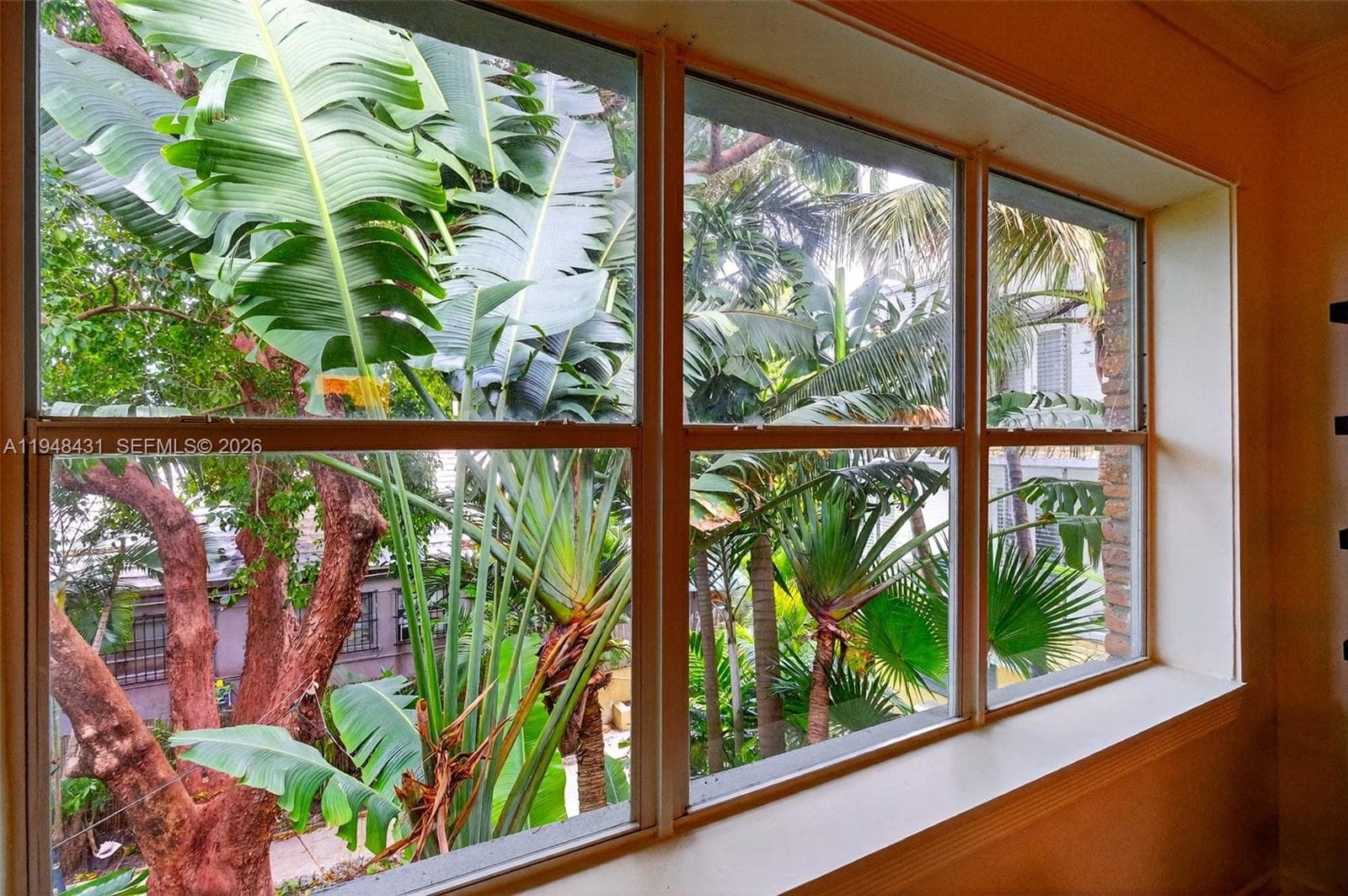 View from Primary Bedroom
