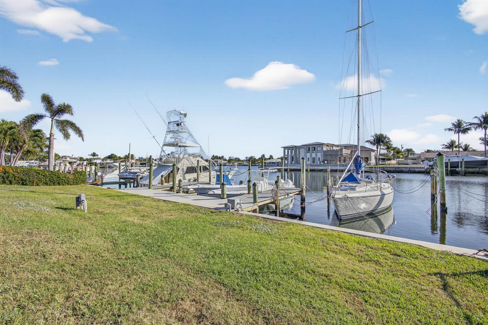 39-web-or-mls-5P1A2171