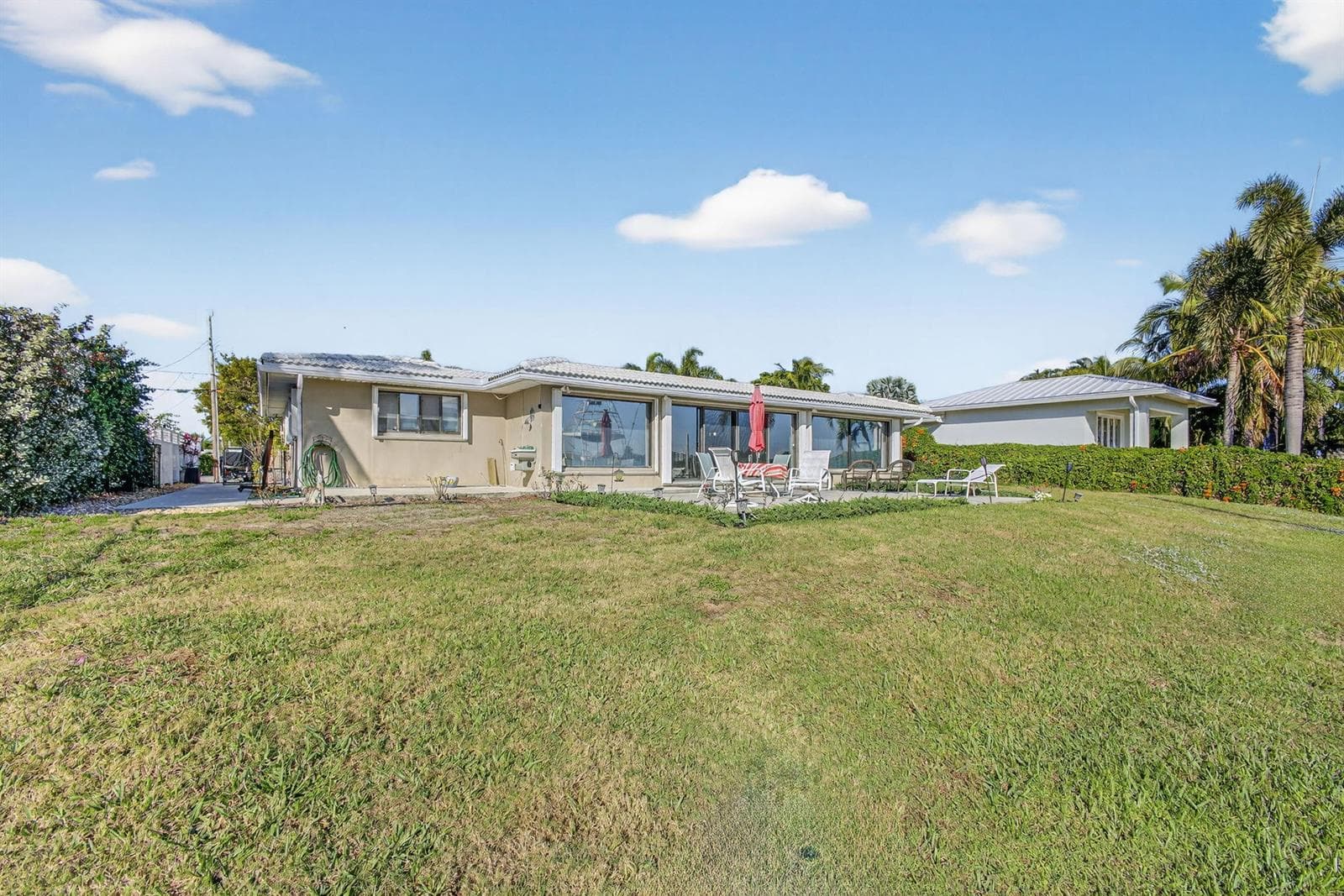 51-web-or-mls-5P1A2227