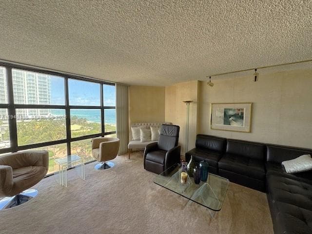 MAR DEL PLATA CONDO · #809 in Miami Beach - Photo 2