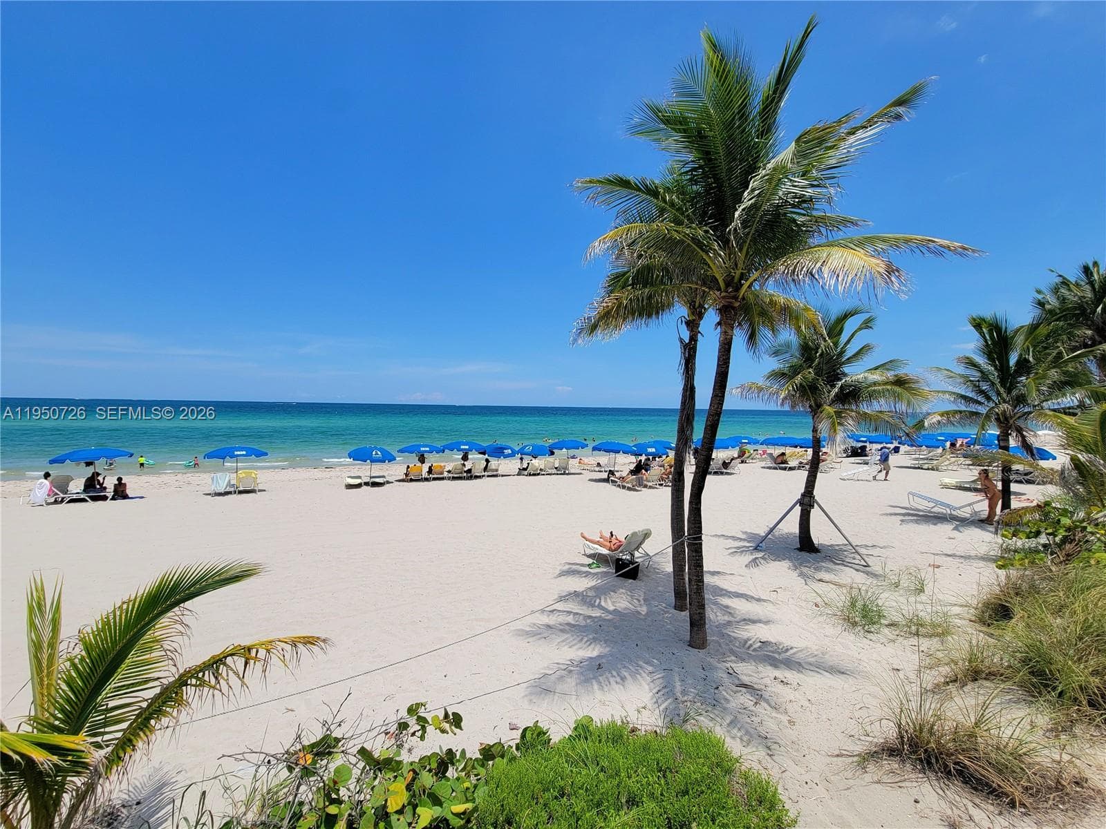Parker Plaza Estates · #2204 in Hallandale Beach - Photo 2