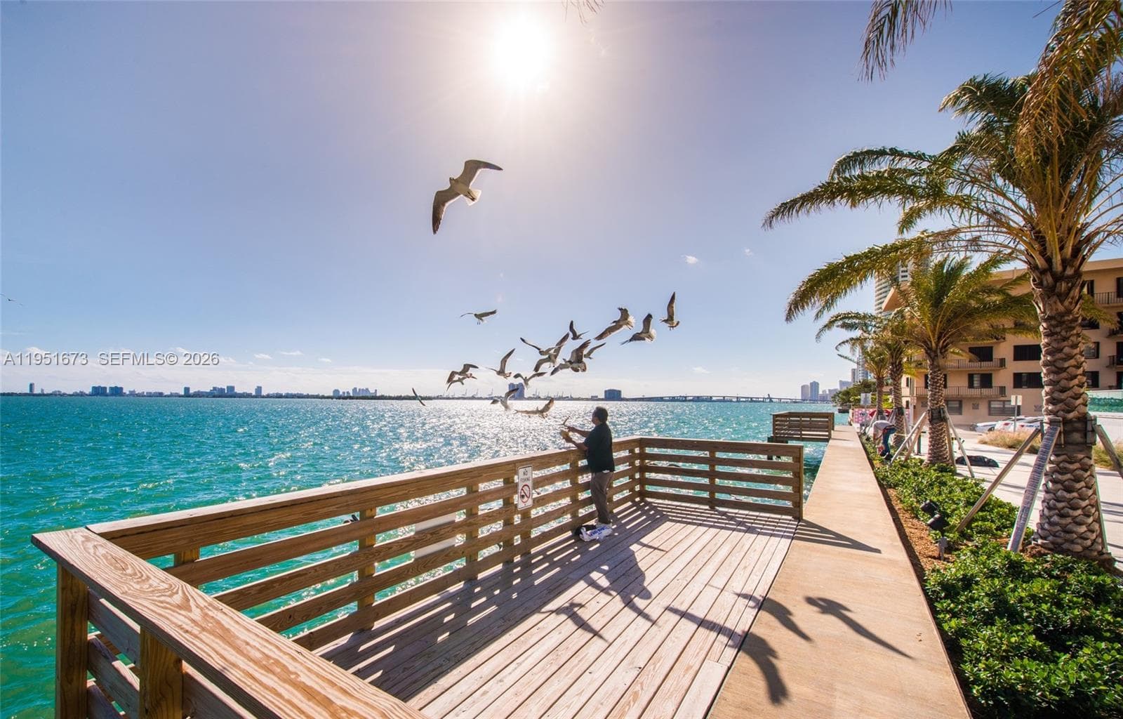 Biscayne Beach · #1903 in Miami - Photo 23
